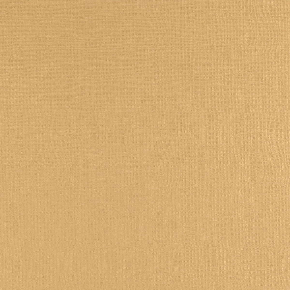 Beach Vaessen Creative Florence textured cardstock colour swatch, code 103.