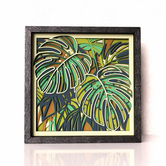 Monstera Color Guide