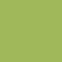 Pistachio Vaessen Creative Florence textured cardstock colour swatch, code 070.